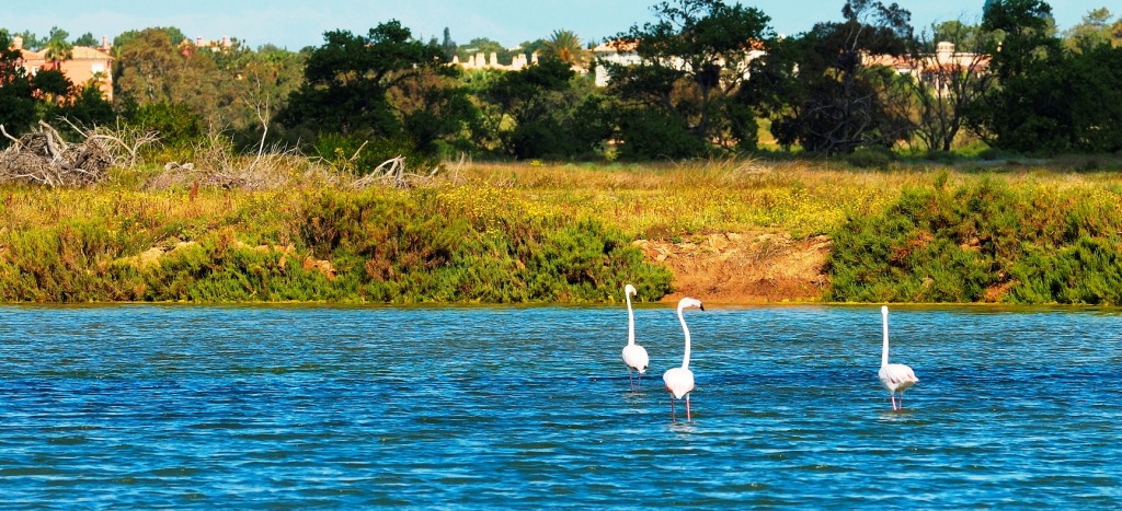 Ria_© Associação de Turismo do Algarve